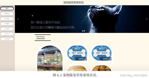 基于Spring Boot与Vue的宠物服务管理系统设计与实现